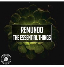 Remundo - The Essential Things