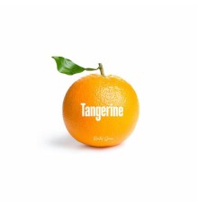 Rental Space - Tangerine