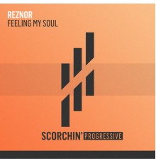 Reznor - Feeling My Soul