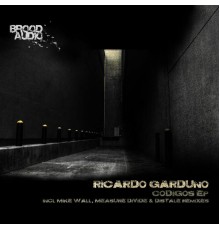 Ricardo Garduno - Codigos EP