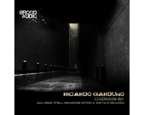 Ricardo Garduno - Codigos EP