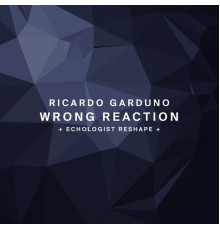 Ricardo Garduno - Wrong Reaction