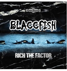 Rich the Factor - Blaccfish