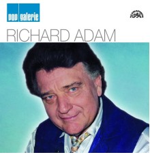 Richard Adam - Pop Galerie