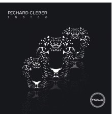 Richard Cleber - Indigo (Original Mix)