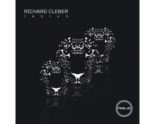 Richard Cleber - Indigo (Original Mix)