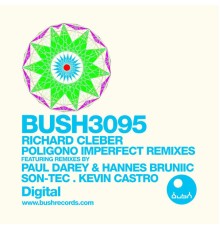 Richard Cleber - Poligono Remix EP