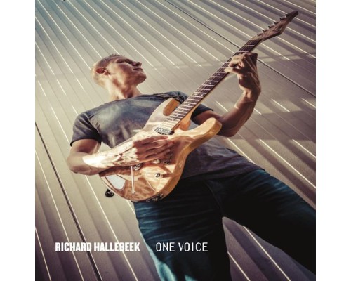 Richard Hallebeek - One Voice