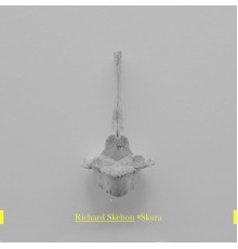 Richard Skelton - *Skura