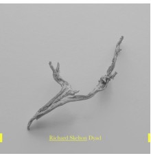 Richard Skelton - Dyad