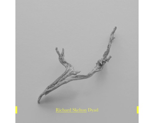 Richard Skelton - Dyad