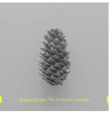 Richard Skelton - The Complete Landings