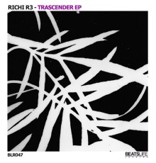 Richi R3 - Trascender