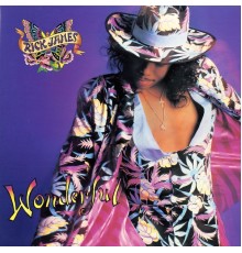 Rick James - Wonderful