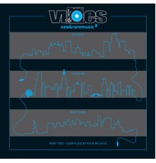 Rick Wilhite - Vibes 2 Part 2