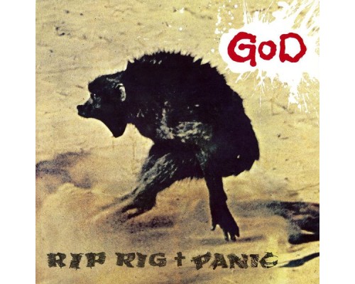 Rip Rig And Panic - God