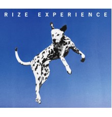 Rize - Experience