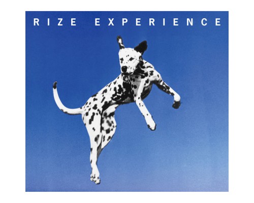 Rize - Experience