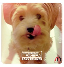 Robbie Rivera - Roxy Remixes