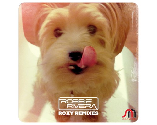 Robbie Rivera - Roxy Remixes