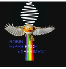 Robin - Robin Experience eXperiment