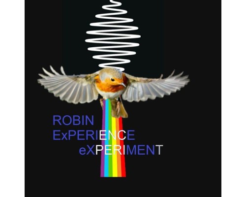 Robin - Robin Experience eXperiment