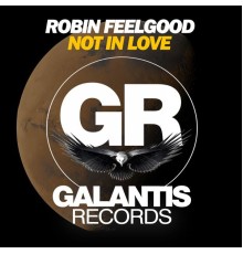 Robin Feelgood - Not in Love