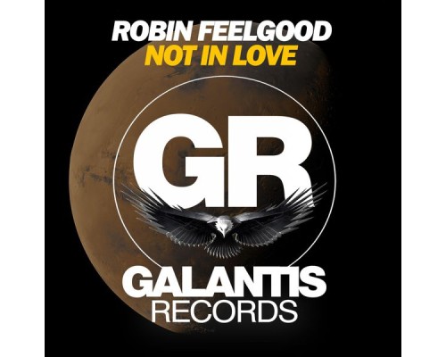 Robin Feelgood - Not in Love