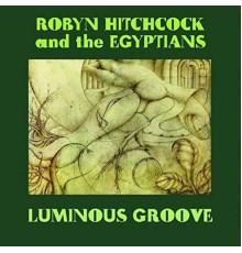 Robyn Hitchcock - Luminous Groove