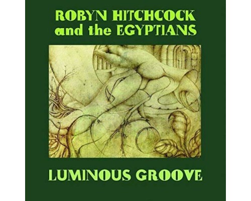 Robyn Hitchcock - Luminous Groove