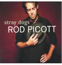 Rod Picott - Stray Dogs