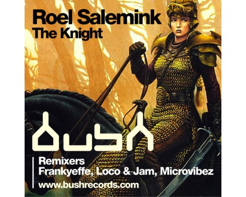 Roel Salemink - The Knight