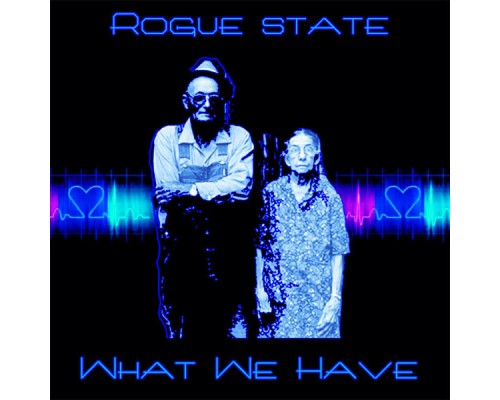 Rogue State - What We Have