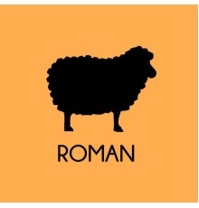 Roman - ROMÁN