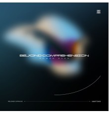 Roman Avan - Beyond Comprehension