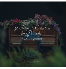 Romantic Piano Music, Exam Study Classical Music, Background Piano Music - 50 Intimate Collection for Peace & Tranquility