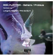 Ron Flatter - Sahara / Proteus