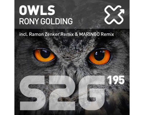 Rony Golding - Owls