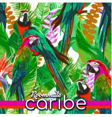 Roommate - Caribe