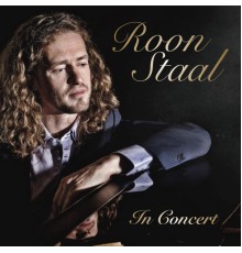 Roon Staal - In Concert