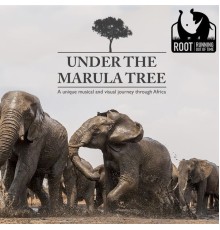 Root - Under the Marula Tree