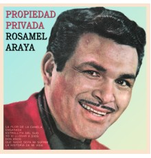 Rosamel Araya - Propiedad Privada