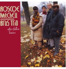 Roscoe Mitchell & Brus Trio - After Fallen Leaves
