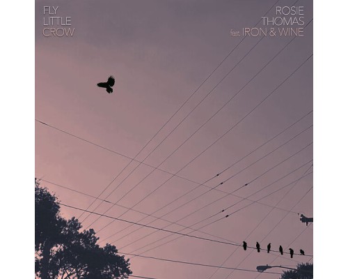 Rosie Thomas - Fly Little Crow