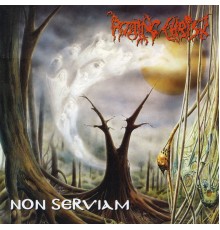 Rotting Christ - Non Serviam