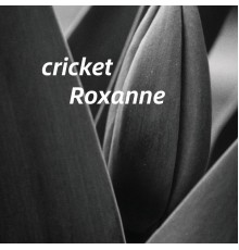 Roxanne - cricket