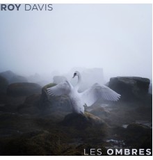 Roy Davis - Les Ombres