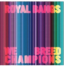 Royal Bangs - We Breed Champions