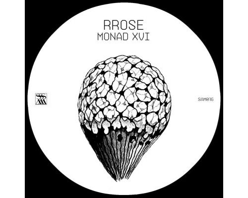 Rrose - Monad XVI (Original Mix)