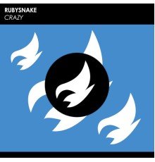 RubySnake - Crazy